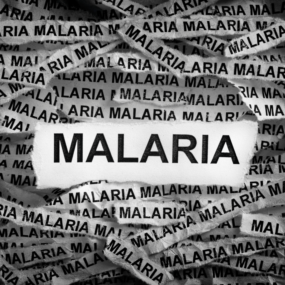 Malaria